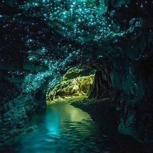 Meet your Posher, Raul m